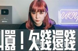 揭示抖阴与抖版的本质区别，了解它们各自的特点与用途