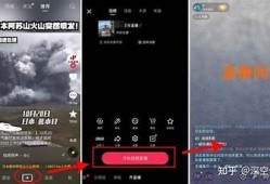 揭秘抖阴蝌蚪网：如何高效获取优质内容和资源
