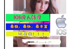 优化国际成人内容，提升抖音平台曝光与收录排名技巧分享