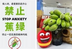 香蕉麻豆文化传媒公司：创意内容与市场推广对策专家