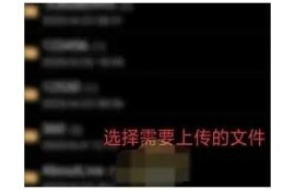 蓝奏云资源分享：如何快速下载抖音VIP内容？