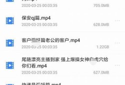 台湾麻豆传媒陆滢心：探索多元文化与创意表达的魅力