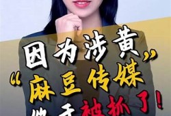 如何安全有效地保存麻豆传媒，避免资料丢失与隐私泄露