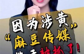 麻豆印象传媒：央视影音背后的幕后故事与创新发展