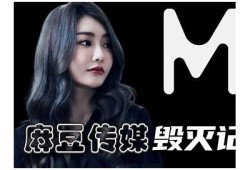 麻豆传媒刘：探索新视角下的影视创作与文化传播