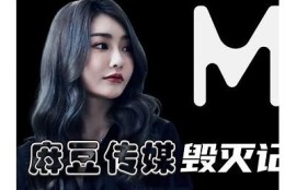 麻豆传媒刘：探索新视角下的影视创作与文化传播