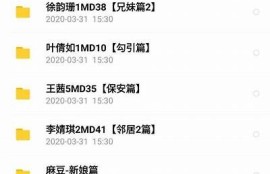 麻豆传媒林予羲：新一代影视女神魅力揭秘与作品回顾