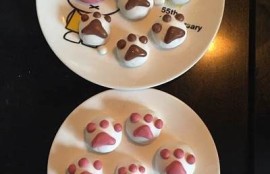 麻豆猫爪传媒448：探秘猫爪背后的创意与热潮