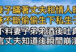 麻豆传媒新剧：揭秘老公的客户背后的故事与真相