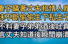 麻豆传媒新剧：揭秘老公的客户背后的故事与真相
