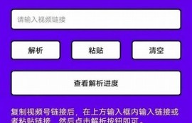 如何快速下载抖阴邵先森，详细步骤解析与技巧分享
