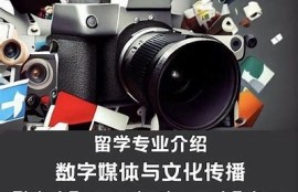 麻豆创传媒：探索数字创意与内容营销的无限可能