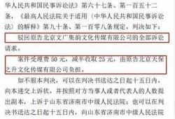 揭晓上海麻豆文化传媒案件背后的真相与影响解析