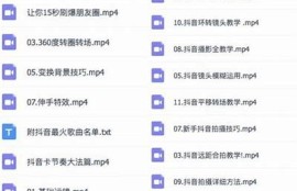 抖音老司机揭秘：如何在短视频平台上迅速获取关注与流量？