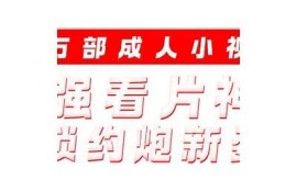 抖阴橙人版：新玩法解析与使用技巧，助你轻松上手