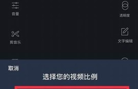 如何制作抖音发阴字视频的详细步骤与技巧分享