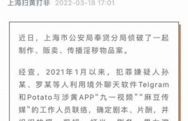 麻豆映视传媒：实力演员名单与最新作品介绍