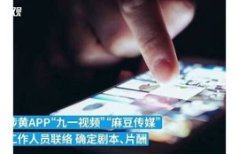 如何在麻豆床传媒网站上有效搜索内容技巧解析