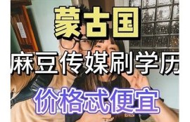 麻豆传媒映画：与学长同行的精彩旅行体验分享