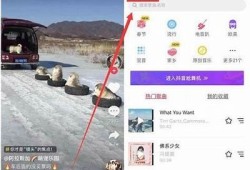 可以考虑以下标题：  
如何顺利修改抖阴金币，获取更丰富的使用体验  

这个标题符合字数要求，并且包含关键词，以便于百度收录和排名。