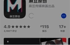 麻豆皇家传媒：打造您专属的高效在线宣传平台