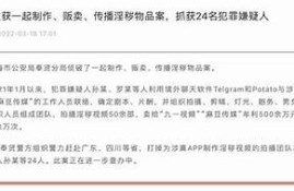 探索麻豆文化：短视频传媒的创意与影响力