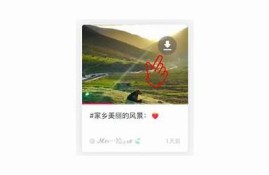 揭秘抖音短视频破解下载的方法，轻松获取热门视频