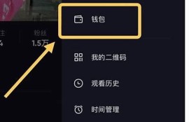 抖阴无限刷抖币攻略：轻松获取高额收益的方法