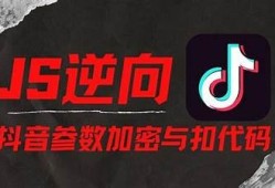 抖音JS版1.2脚本使用指南：轻松提升视频曝光和评论互动