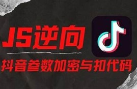 抖音JS版1.2脚本使用指南：轻松提升视频曝光和评论互动