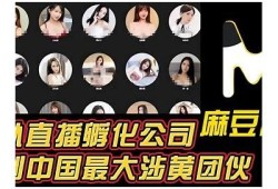 探索麻豆文化传媒的官方网站和资源链接