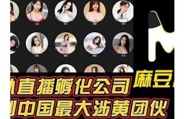 麻豆映画传媒画APP能否在国外使用？详细指南与下载攻略