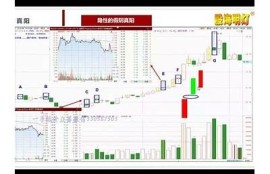 深入解析抖阴中金币的获取与实践技巧