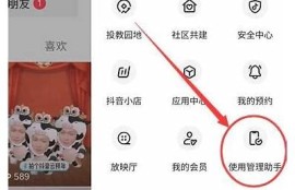 如何修改抖阴链接以提升百度收录和排名结果？
