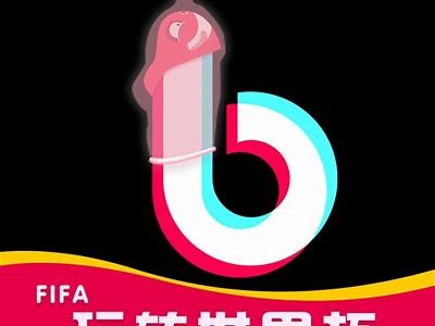 抖阴1.5.6最新版功能揭秘，提升用户体验的新选择
