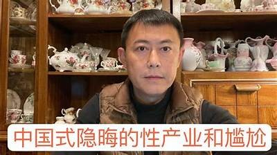 麻豆文化传媒被抓事件深度解析：背后真相与行业反思