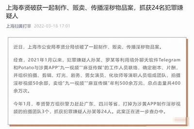 探索麻豆文化传媒：小视频创作技巧与成功案例分享