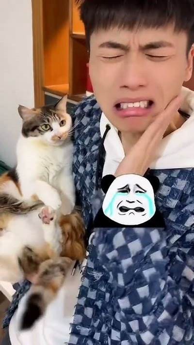 抖阴猫咪：畅玩宠物搞笑视频，分享萌宠日常新体验