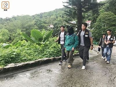 深入解析抖阴伧理，揭示其背后的运营秘密与市场走向