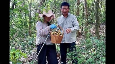 小阴虫的趣味视频分享：揭秘它的生活习性与习惯