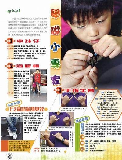 猫爪传媒421：探索新媒体时代的创意与发展之路