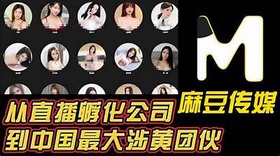 麻豆传媒：探索麻豆有你的精彩世界，开启无限可能