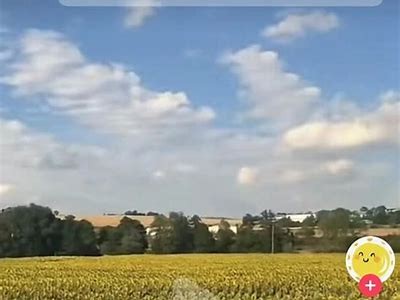 如何快速下载抖音短视频？详细教程与技巧分享