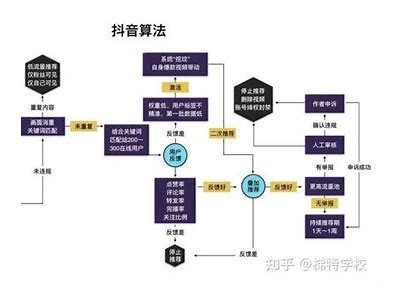 如何使用qtt833抖阴获取更高的社交曝光率？技巧与经验分享。