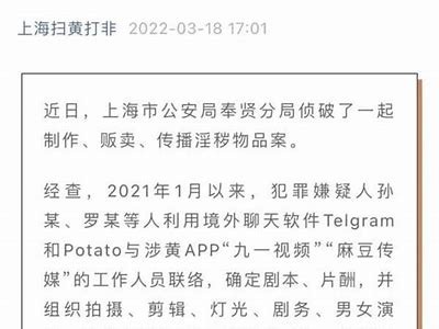 麻豆映视传媒：实力演员名单与最新作品介绍