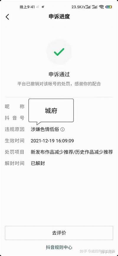 揭秘iOS成人抖阴密码：安全使用与隐私保护指南