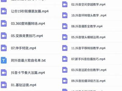 抖音老司机揭秘：如何在短视频平台上迅速获取关注与流量？