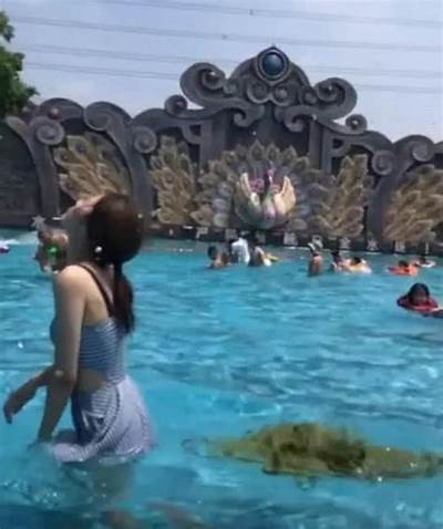 抖音洗澡视频分享：轻松享受沐浴时光，放松身心的小技巧