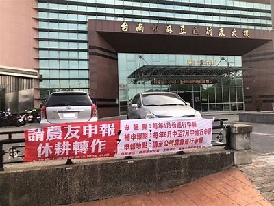 麻豆文化传媒影画：探索潮流影视与文化交融的新奇体验
