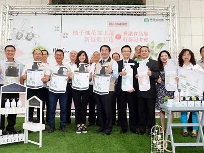 欧洲麻豆果冻传媒：探索创意与影视的完美结合